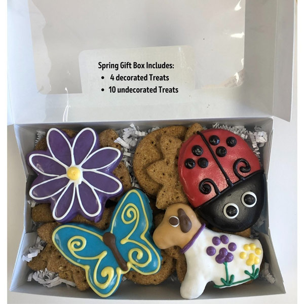 Spring Dog Cookie Gift Box