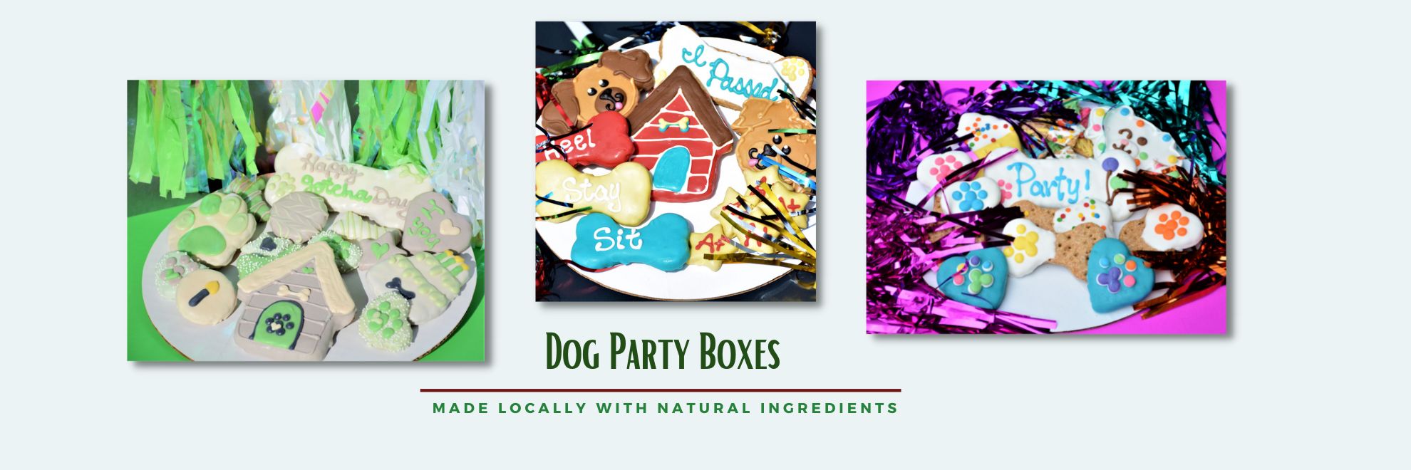 Dog Party Boxes
